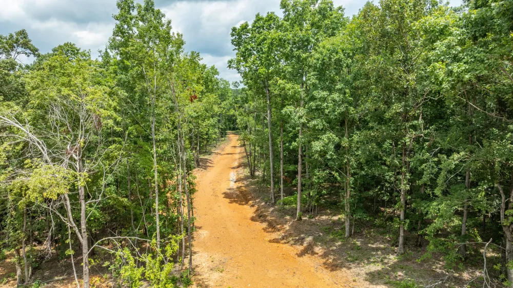 348 Columbia Ave Hohenwald, TN 38462