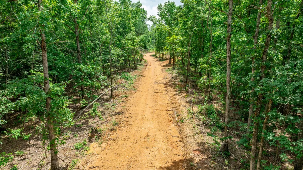 348 Columbia Ave Hohenwald, TN 38462