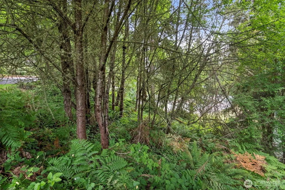 6 Kala Lagoon Court Port Townsend, WA 98368
