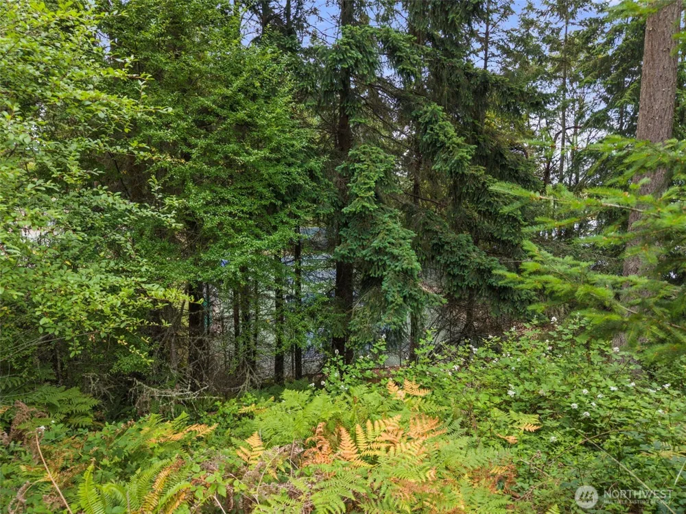 6 Kala Lagoon Court Port Townsend, WA 98368