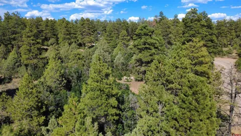 1824 Crooked Road