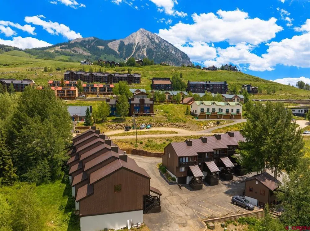 21 Castle Road #2 Crested Butte, CO 81225