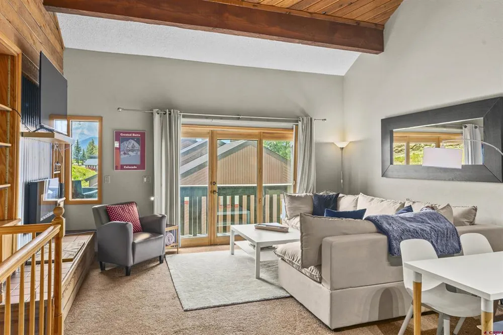 21 Castle Road #2 Crested Butte, CO 81225
