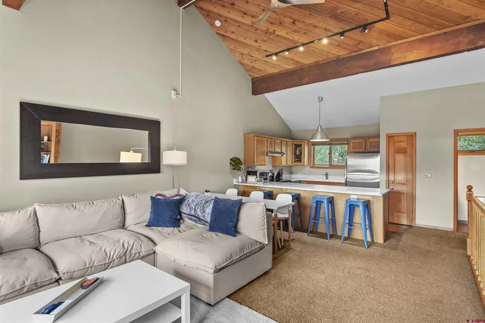 21 Castle Road #2 Crested Butte, CO 81225