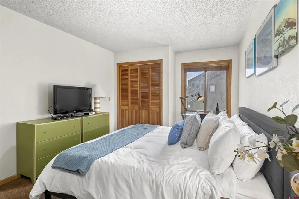 21 Castle Road #2 Crested Butte, CO 81225