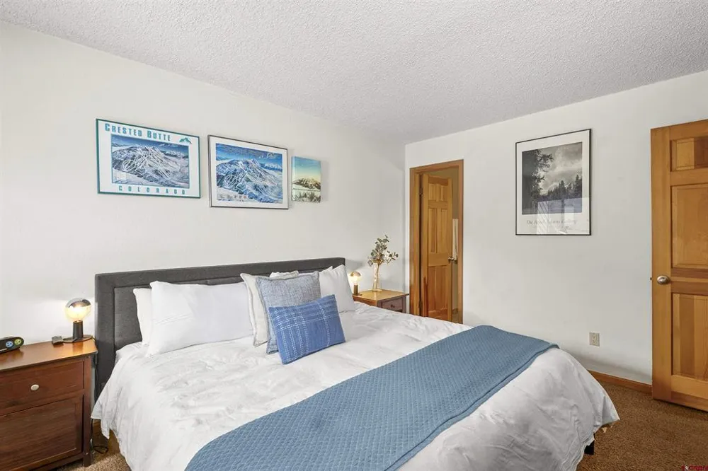21 Castle Road #2 Crested Butte, CO 81225