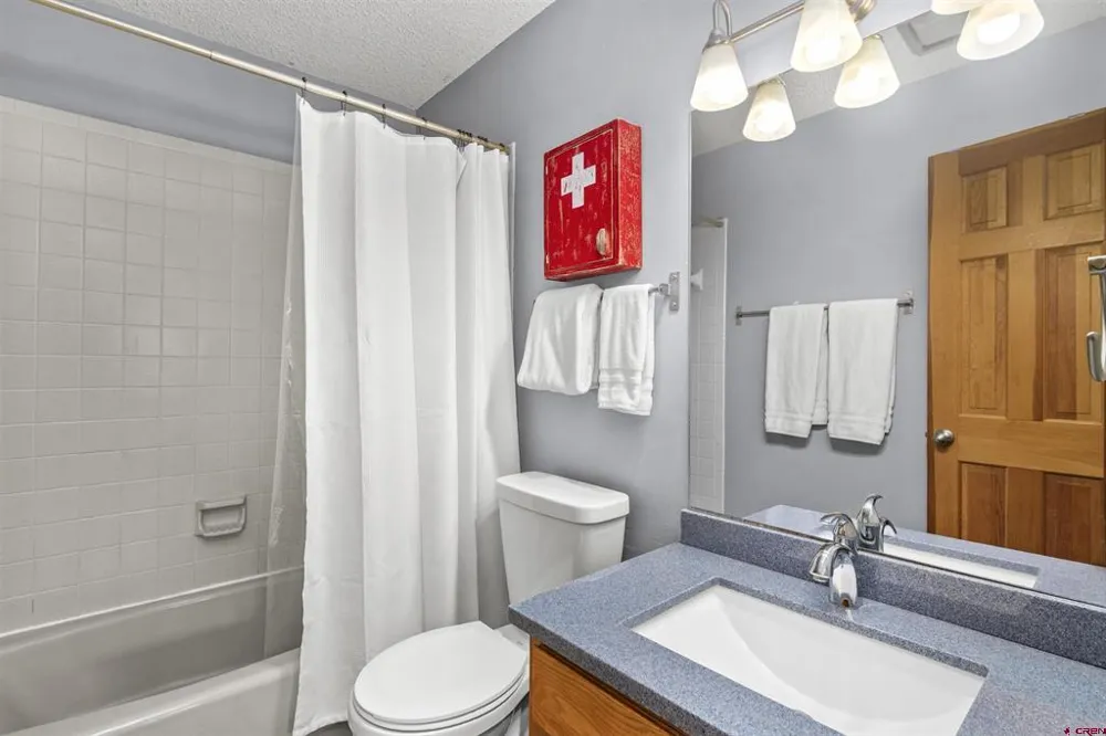 21 Castle Road #2 Crested Butte, CO 81225