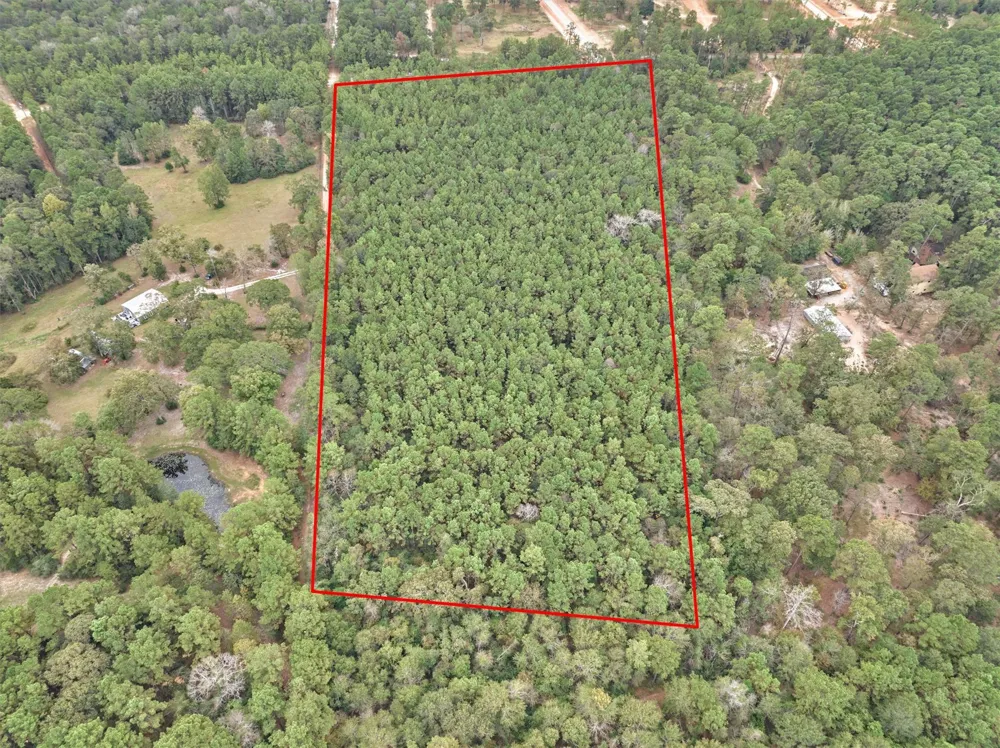 E Williams Road Conroe, TX 77303