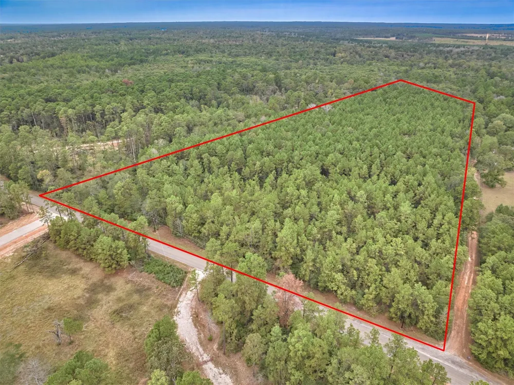 E Williams Road Conroe, TX 77303