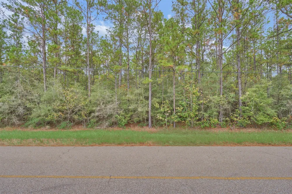 E Williams Road Conroe, TX 77303