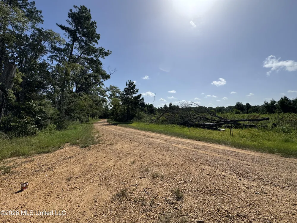 32a Sauls Road Ruth, MS 39662