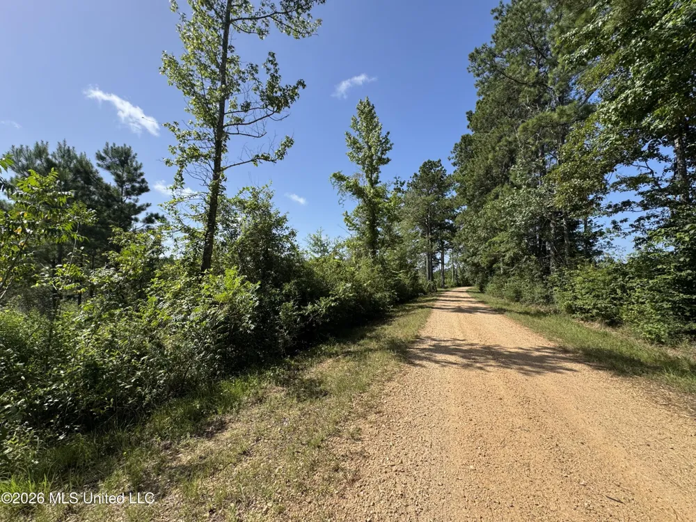 32a Sauls Road Ruth, MS 39662