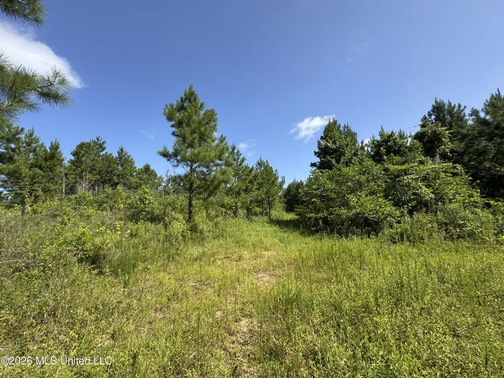 32a Sauls Road Ruth, MS 39662