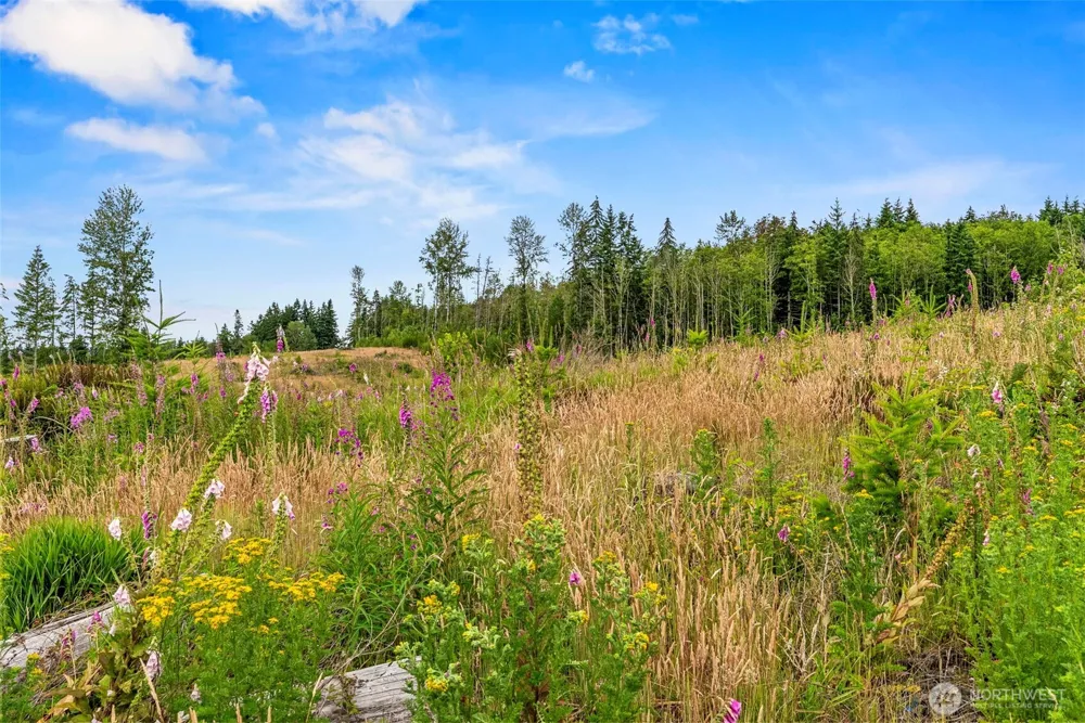 2 Lot 2 Parker Road Toutle, WA 98649