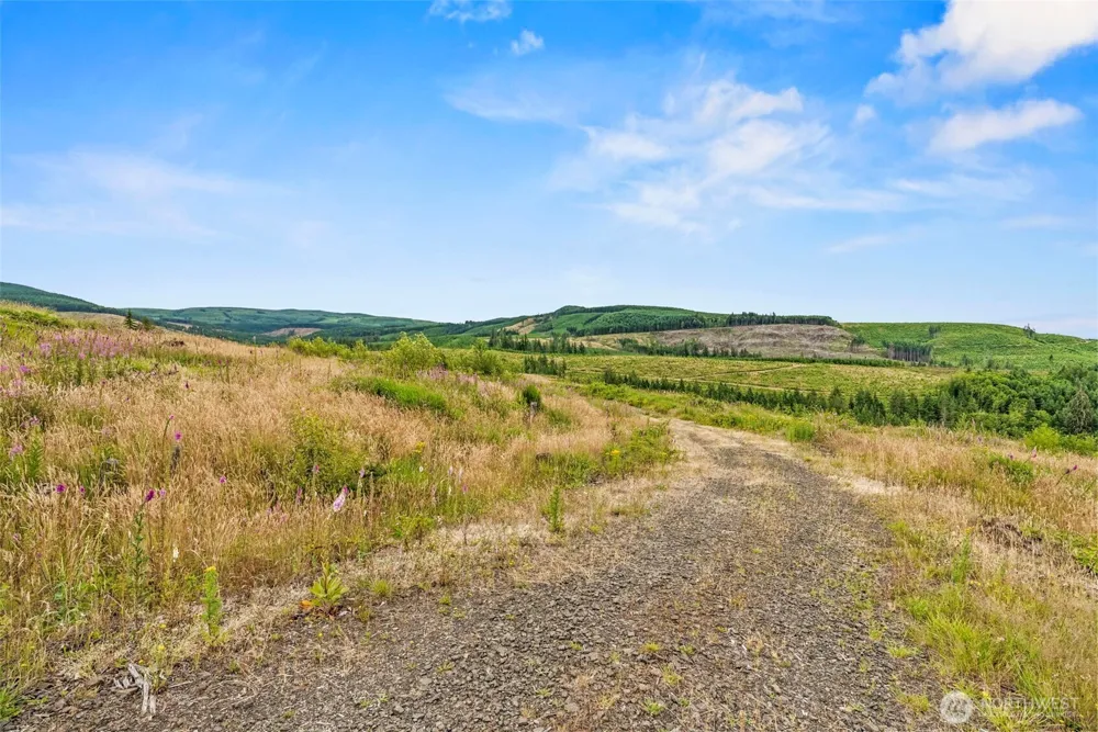 1 Lot 1 Parker Road Toutle, WA 98649