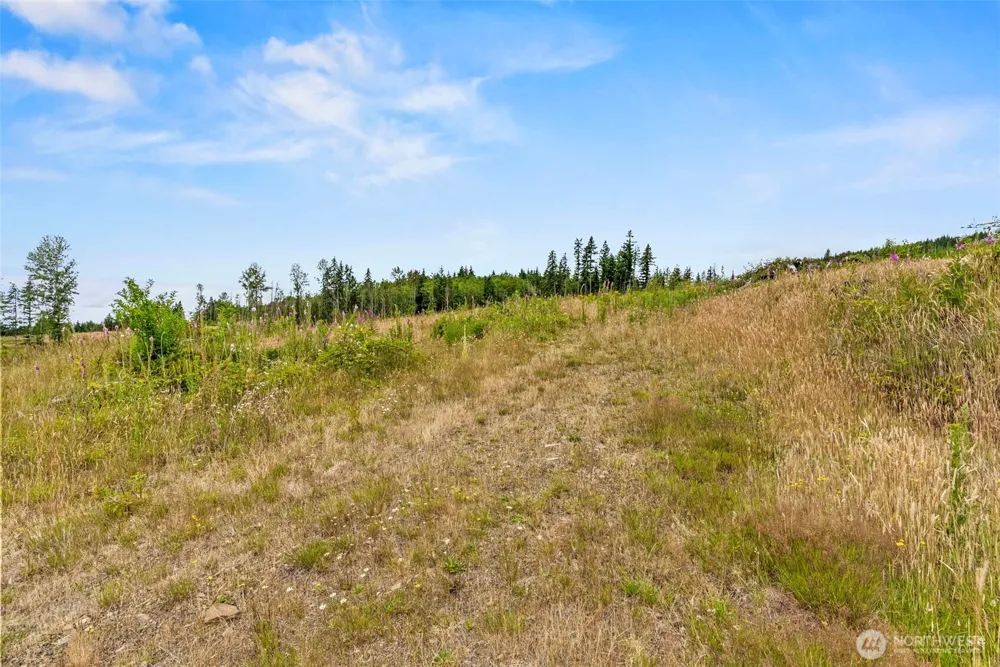 1 Lot 1 Parker Road Toutle, WA 98649