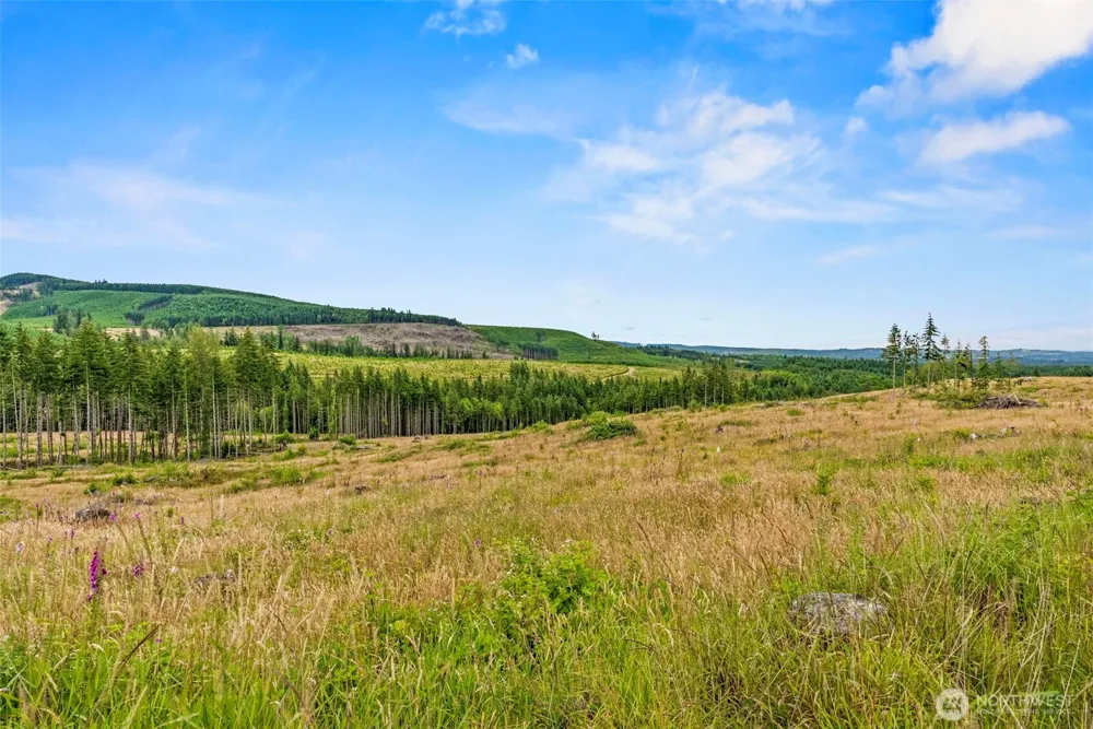 3 Lot 3 Parker Road Toutle, WA 98649