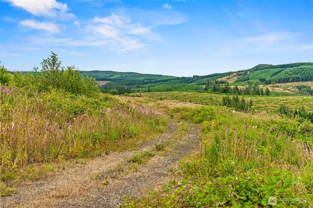 3 Lot 3 Parker Road Toutle, WA 98649