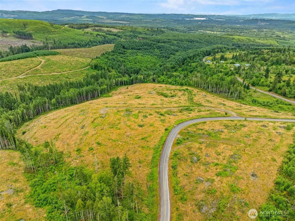 4 Lot 4 Parker Road Toutle, WA 98649