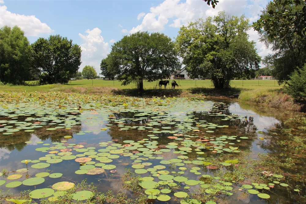 1199 County Road 1245 Savoy, TX 75479