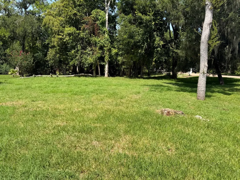 4211 Woodlake Lane Missouri City, TX 77459