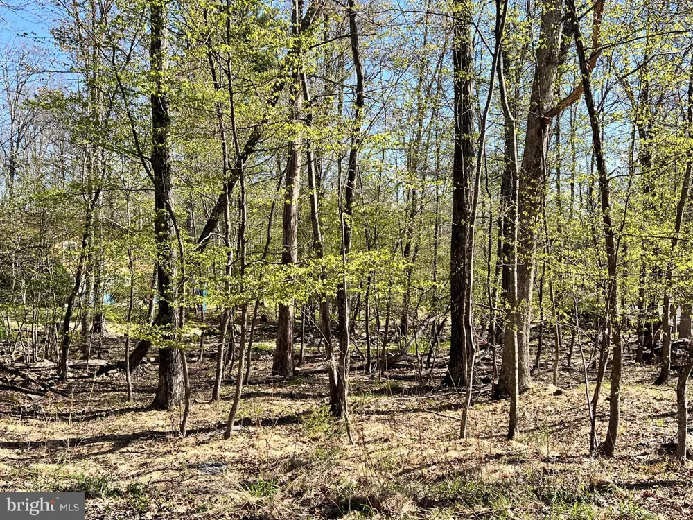 CHICKADEE WAY East Stroudsburg, PA 18302