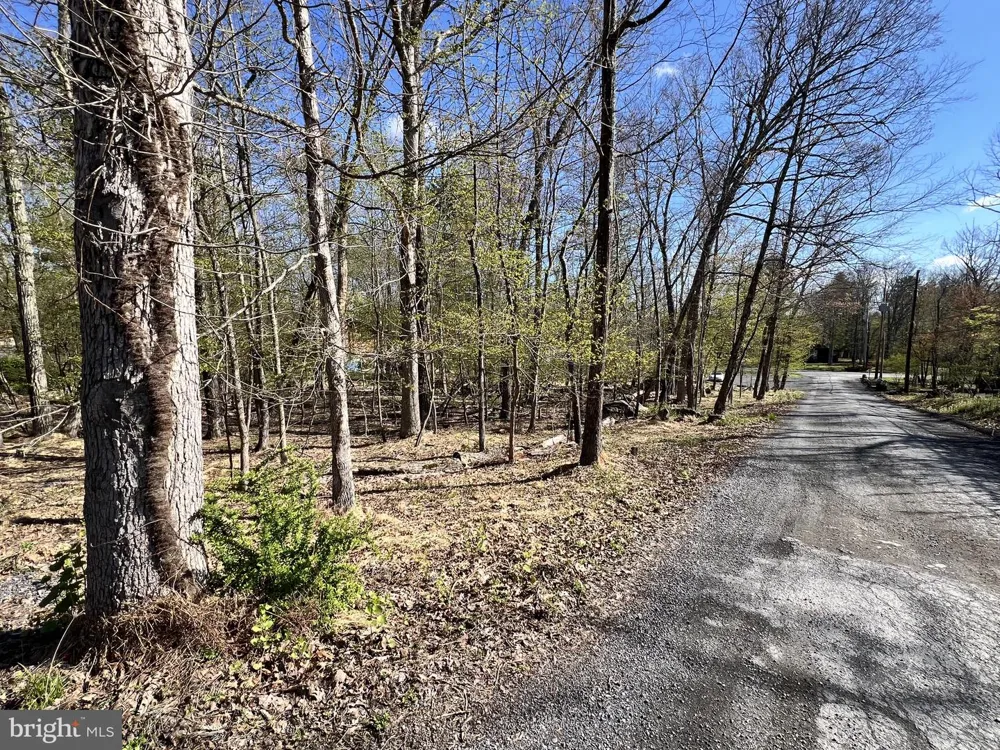 CHICKADEE WAY East Stroudsburg, PA 18302