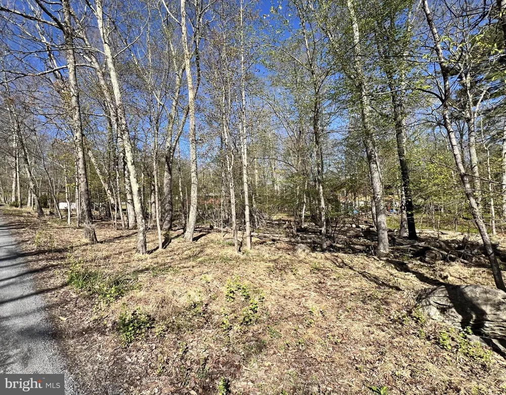 CHICKADEE WAY East Stroudsburg, PA 18302