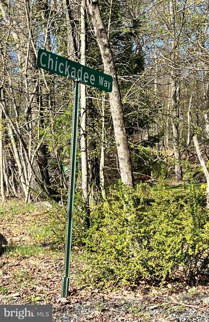 CHICKADEE WAY East Stroudsburg, PA 18302