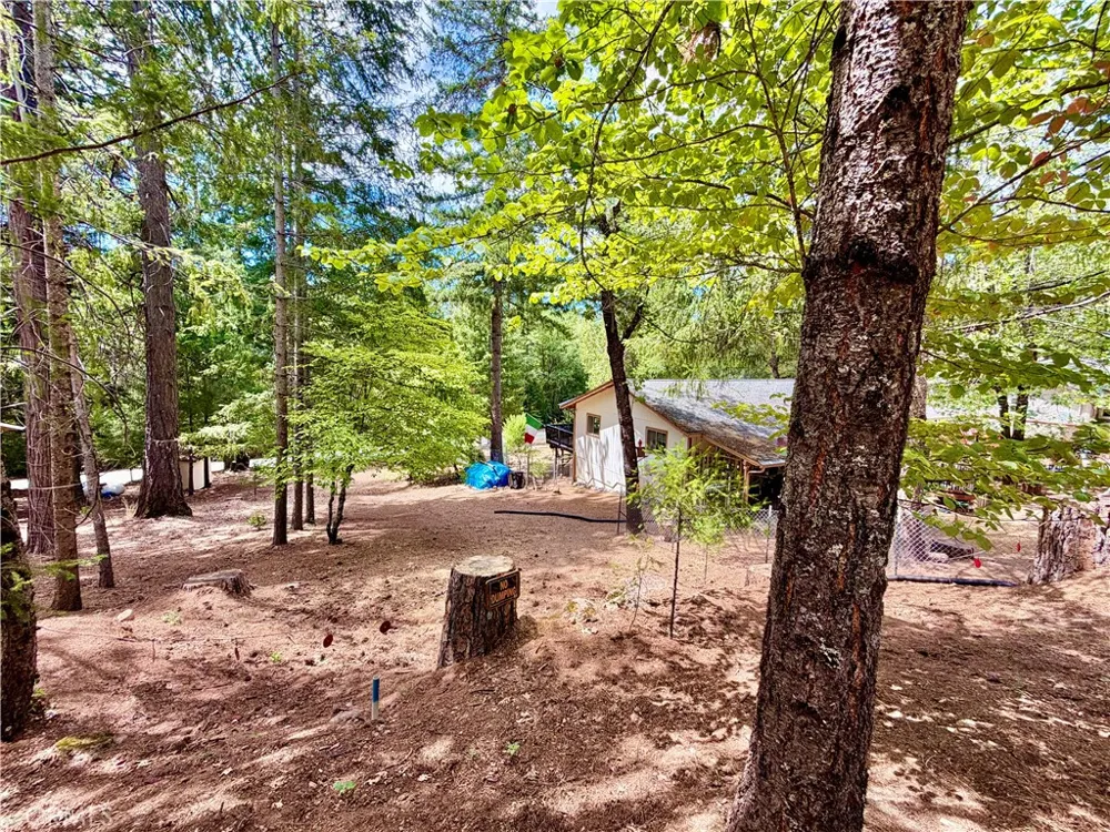 11783 Western Pine Road Loch Lomond, CA 95461