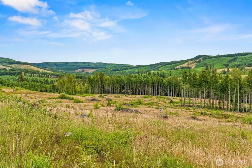 5 Lot 5 Parker Road Toutle, WA 98649