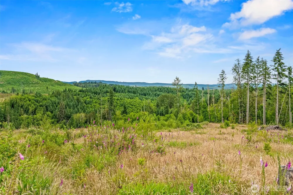 6 Lot 6 Parker Road Toutle, WA 98649