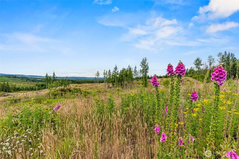6 Lot 6 Parker Road Toutle, WA 98649