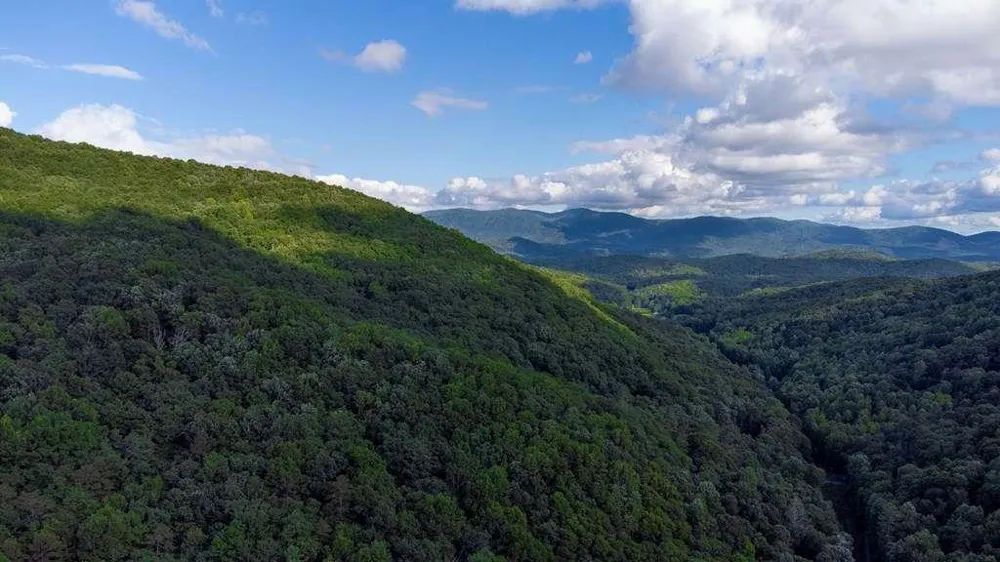 LOT 18 Cub Trail Cherry Log, GA 30522