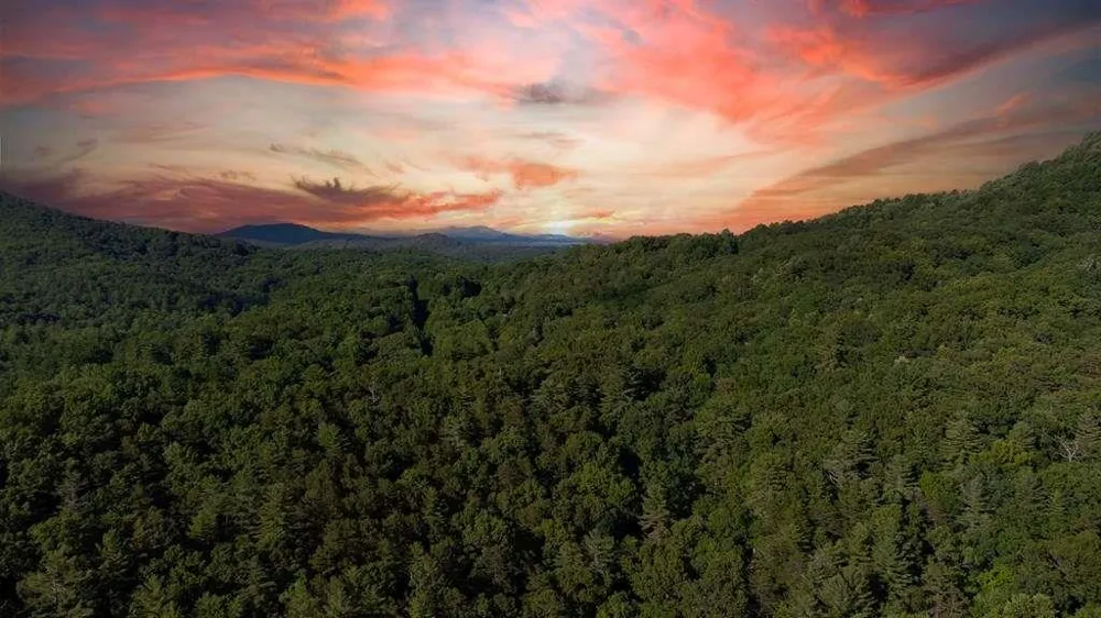 LOT 18 Cub Trail Cherry Log, GA 30522