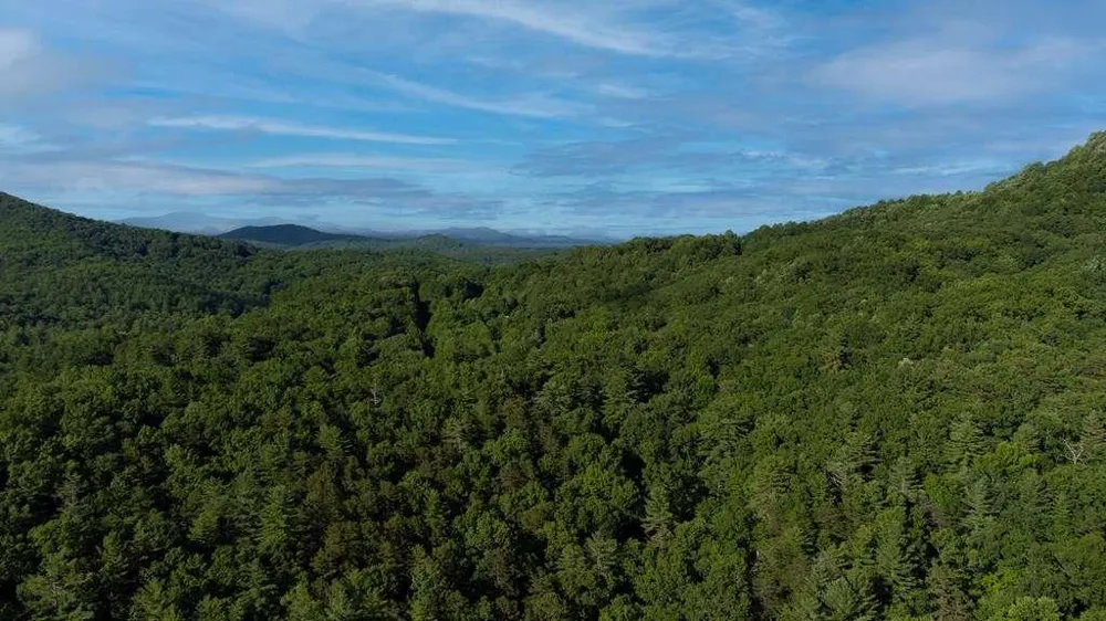 LOT 18 Cub Trail Cherry Log, GA 30522