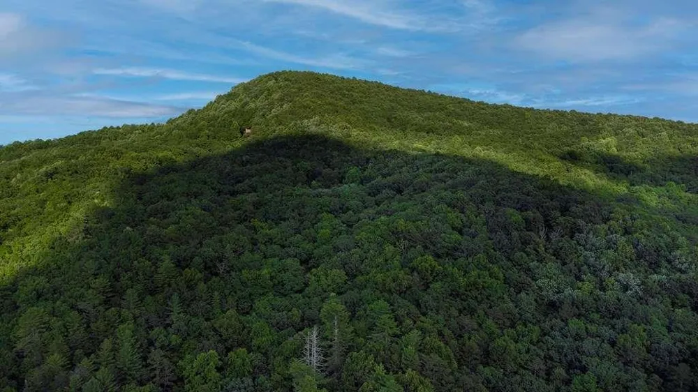 LOT 18 Cub Trail Cherry Log, GA 30522