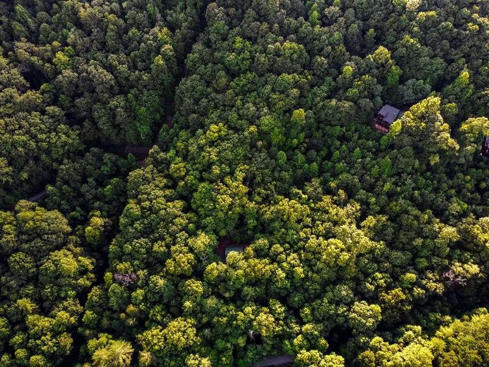 LOT 18 Cub Trail Cherry Log, GA 30522