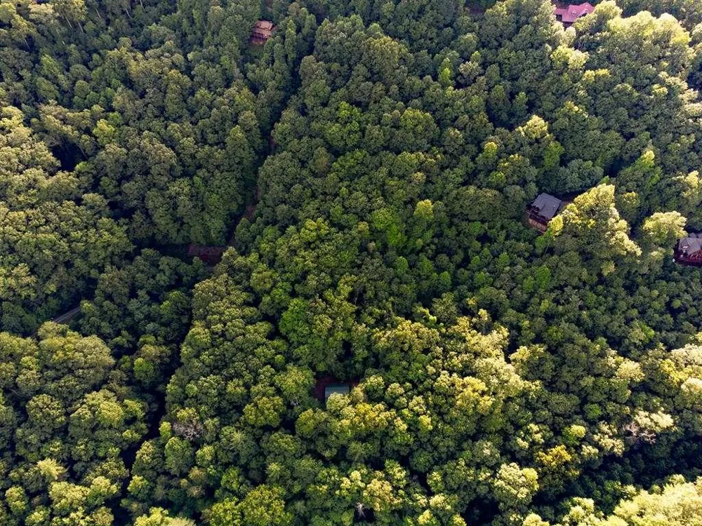 LOT 18 Cub Trail Cherry Log, GA 30522