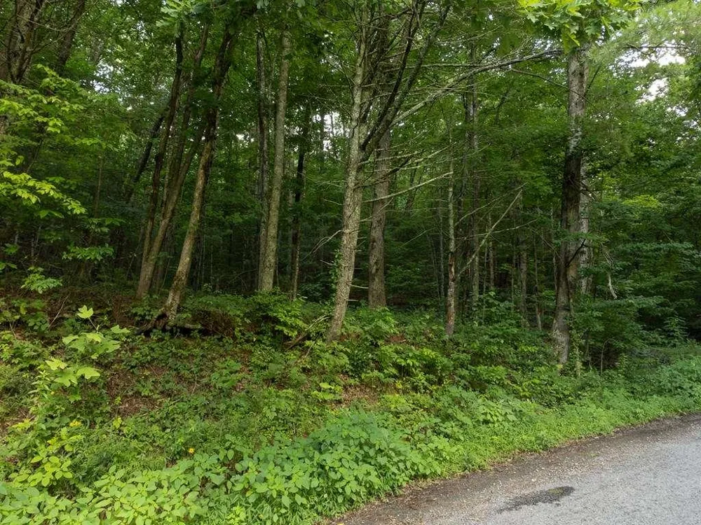 LOT 18 Cub Trail Cherry Log, GA 30522