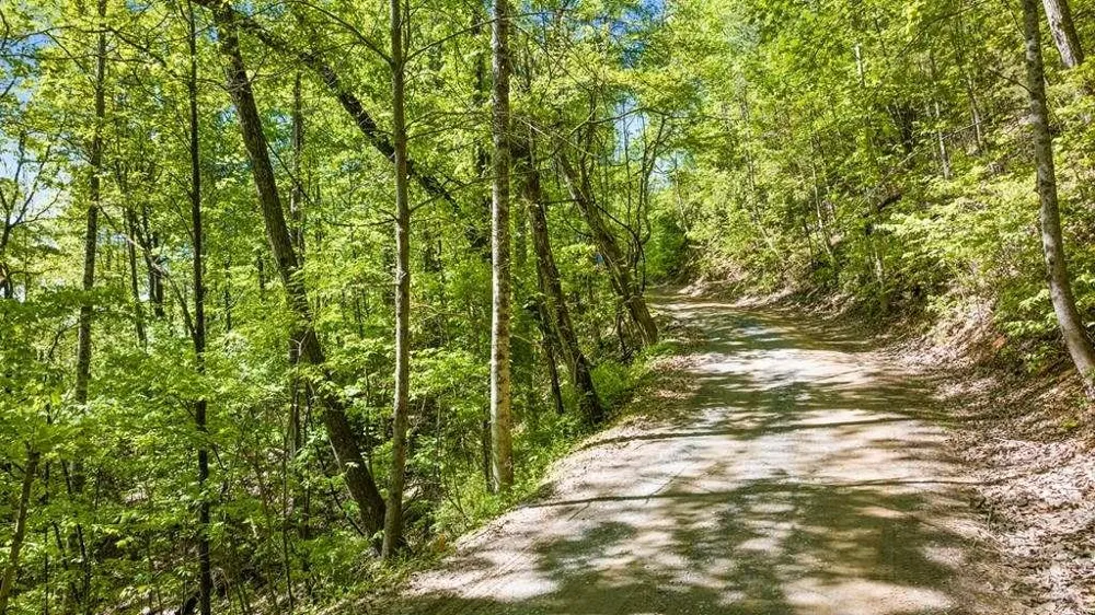 LOT 18 Cub Trail Cherry Log, GA 30522