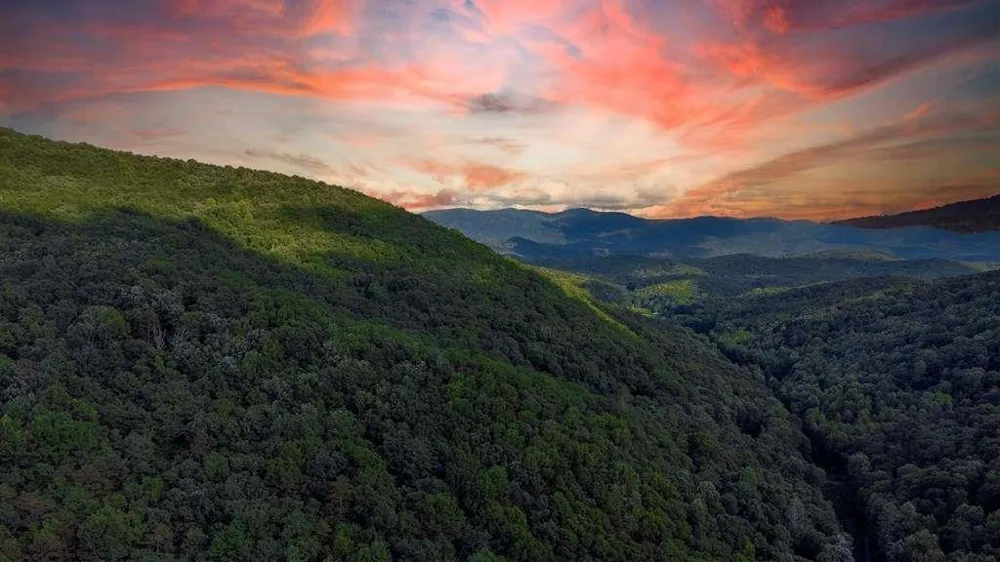 LOT 18 Cub Trail Cherry Log, GA 30522