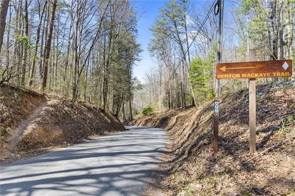 LOT 18 Cub Trail Cherry Log, GA 30522