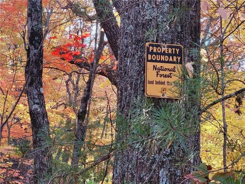 LOT 18 Cub Trail Cherry Log, GA 30522