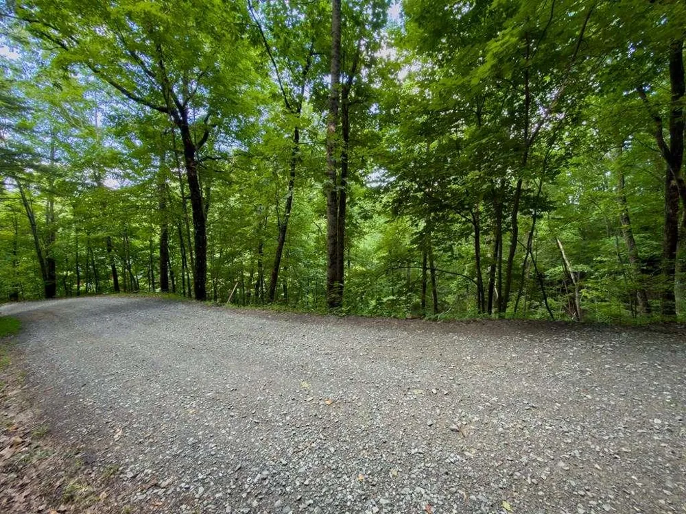 LOT 18 Cub Trail Cherry Log, GA 30522