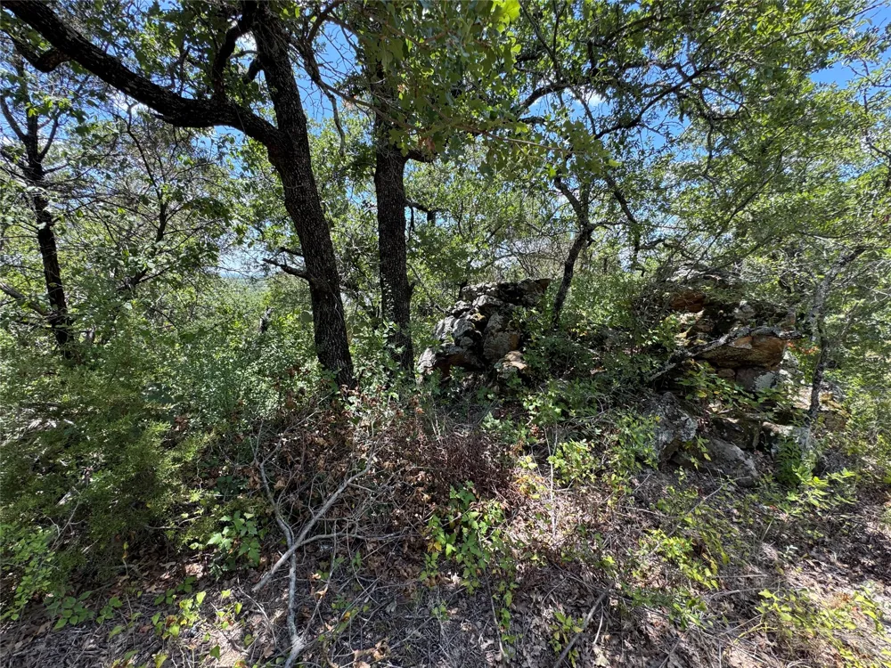 1002 Boulder Drive Gordon, TX 76453