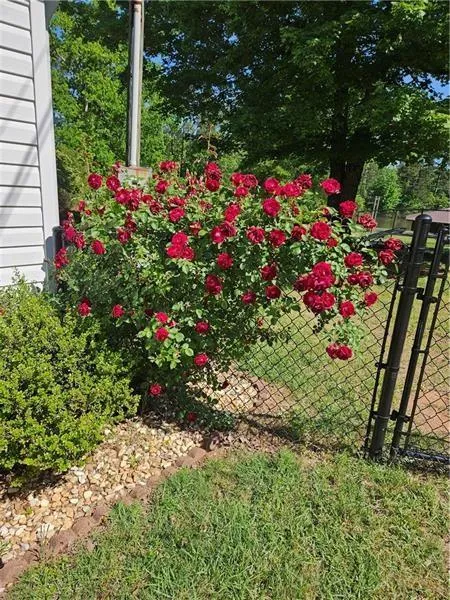156 Montego Bay Road NW Milledgeville, GA 31061