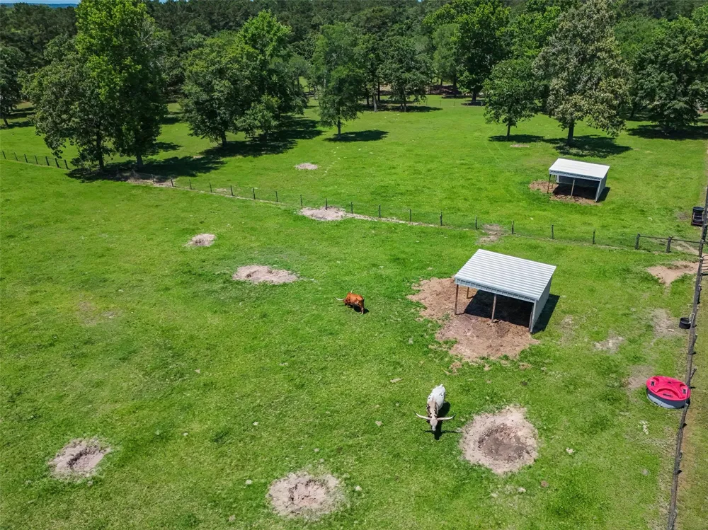 1 Fm 3179 Huntsville, TX 77340