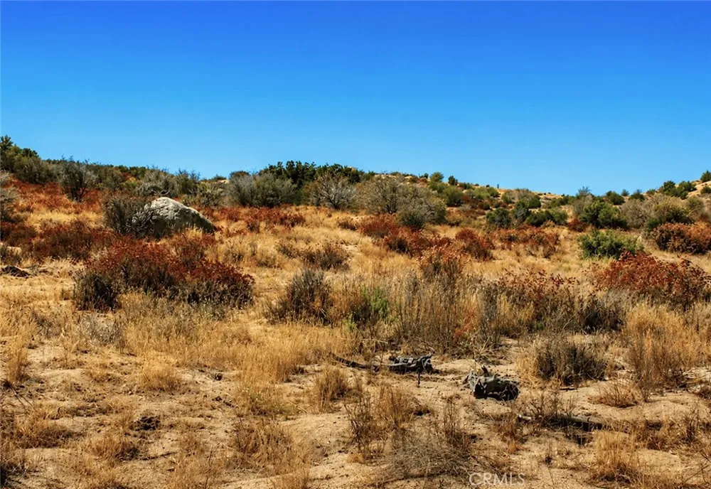 Blackfoot Dr Anza, CA 92536
