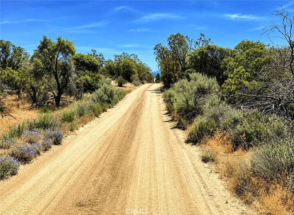 Blackfoot Dr Anza, CA 92536